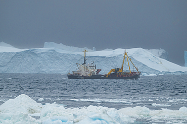 Fish trawler between the icebergs of the Ilulissat Icefjord, UNESCO World Heritage Site, Western Greenland, Denmark, Polar Regions