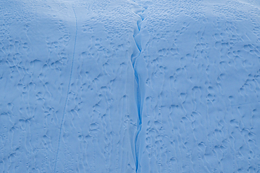 Floating icebergs, Ilulissat Icefjord, UNESCO World Heritage Site, Western Greenland, Denmark, Polar Regions