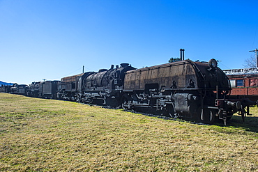 Old steam trains from the Dorrigo railway line, Dorrigo National Park, New South Wales, Australia, Pacific