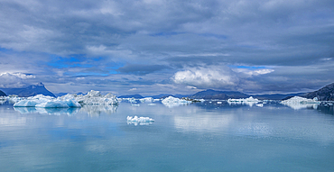 Floating icebergs in the Nuuk Icefjord, Western Greenland, Denmark, Polar Regions