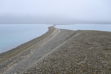 Arctic desert landscape on Beechey island, Nunavut, Canadian Arctic, Canada, North America