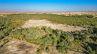 Oasis Tigui with its palm grove , Tibesti Mountains, Chad, Africa