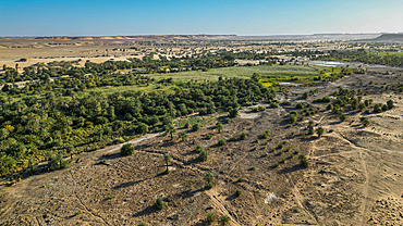 Oasis Tigui with its palm grove , Tibesti Mountains, Chad, Africa