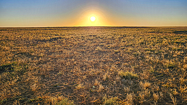 Sunset in the sahel, Chad, Africa