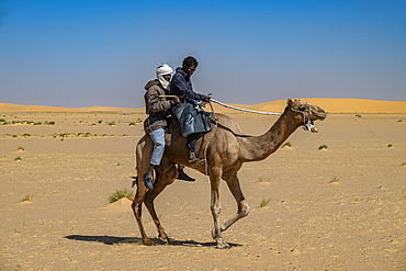 Two men riding on a camel, Tibesti Mountains, Chad, Africa