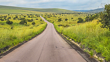 Road leading to the north of Republic of Congo