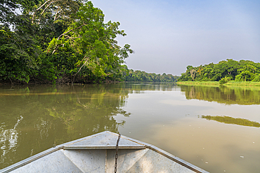 Sangha River, Unesco site Dzanga Sangha National Park, Central African Republic