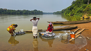 Woman handcleaning in the Sangha River, Unesco site Dzanga Sangha National Park, Central African Republic