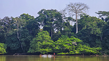 Locals in a canoe, Sangha River, Unesco site Dzanga Sangha National Park, Central African Republic