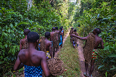 Unesco site Dzanga Sangha National Park, Central African Republic