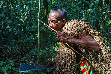 Pygmy man going nethunting, Unesco site Dzanga Sangha National Park, Central African Republic