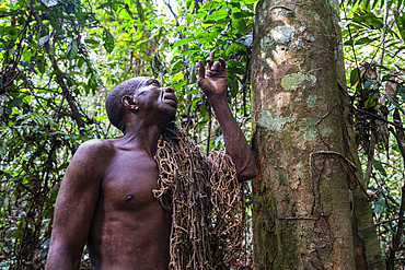 Pygmy man going nethunting, Unesco site Dzanga Sangha National Park, Central African Republic