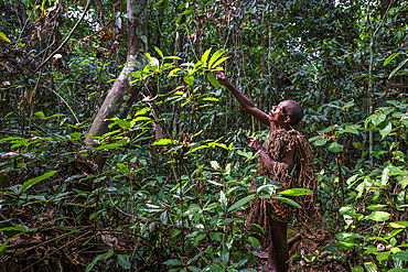 Pygmy man going nethunting, Unesco site Dzanga Sangha National Park, Central African Republic