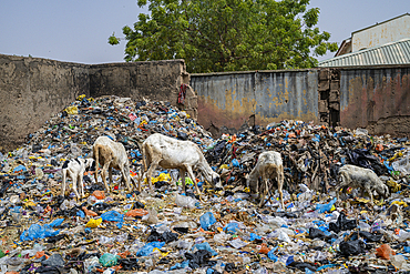 Extremely dirty waste area in the Fadar Daurama Emir palace, Daura Emirate, Katsina state, Nigeria