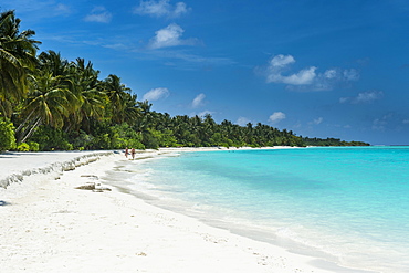 White sand beach and turquoise water, Sun Island Resort, Nalaguraidhoo island, Ari atoll, Maldives, Indian Ocean, Asia