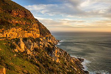 Cliffs of Cape of Good Hope at sunset, South Africa, Africa