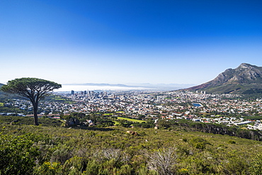 View over Cape Town, South Africa, Africa