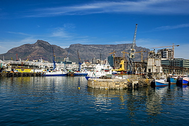 Victoria and Alfred Waterfront, Cape Town, South Africa, Africa