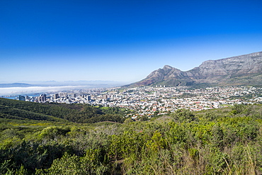 View over Cape Town, South Africa, Africa