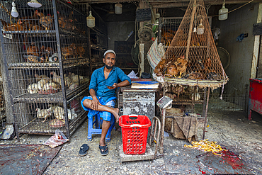 Chicken market in the Karan Bazar, Dhaka, Bangladesh