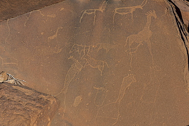 Ancient rock engravings, Twyfelfontein, UNESCO World Heritage Site, Namibia, Africa