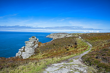 Island of Lundy, Bristol Channel, Devon, England, United Kingdom, Europe