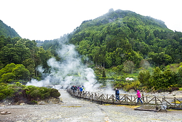 Fumaroles of Furnas Lake, Island of Sao Miguel, Azores, Portugal, Atlantic, Europe