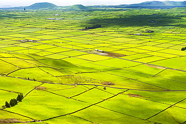 Serra do Cume Viewpoint overlooking the patchwork of green pastures, Island of Terceira, Azores, Portugal, Atlantic, Europe