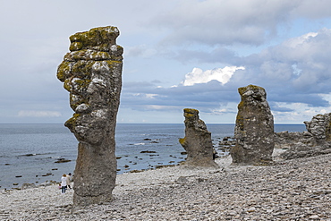 Unique Langhammars sea stacks, Faro, Gotland, Sweden, Scandinavia, Europe