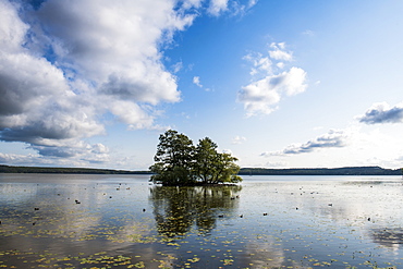 Evening light on Malaren lake, Sigtuna, oldest town of Sweden, Scandinavia, Europe