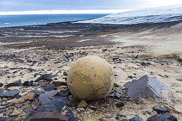 Giant stone sphere, Champ Island, Franz Josef Land archipelago, Arkhangelsk Oblast, Arctic, Russia, Europe