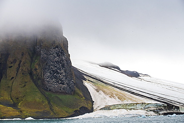 Massive bird cliff, Champ Island, Franz Josef Land archipelago, Arkhangelsk Oblast, Arctic, Russia, Europe