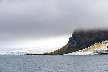 Massive bird cliff, Champ Island, Franz Josef Land archipelago, Arkhangelsk Oblast, Arctic, Russia, Europe