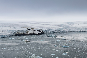 Aerial of the massive glacier of Alexandra Land, Franz Josef Land archipelago, Arkhangelsk Oblast, Arctic, Russia, Europe