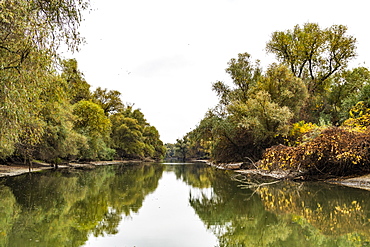 Danube Delta in Romania, Europe