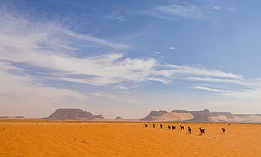 Desert scenery in northern Chad, Africa