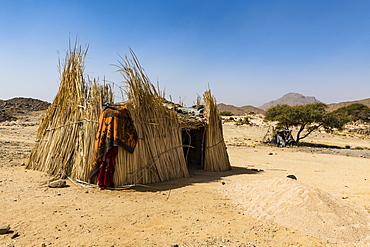 Traditional Tuareg housing near Tamanrasset, Algeria, North Africa, Africa