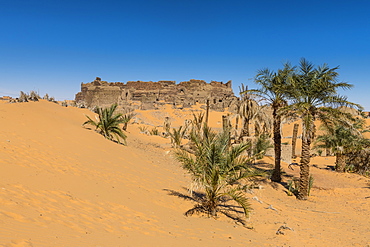 Old ksar, old town in the Sahara Desert, near Timimoun, western Algeria, North Africa, Africa