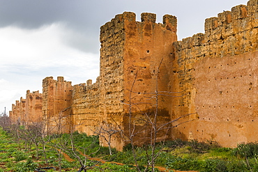 Outer castle wall, Mansourah castle, Tlemcen, Algeria, North Africa, Africa