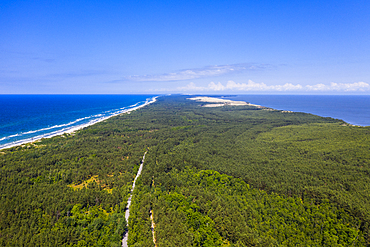 Aerial by drone of the Curonian Spit National Park, UNESCO World Heritage Site, Kaliningrad, Russia, Europe