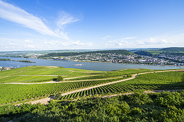 View over the River Rhine from the Niederwalddenkmal monument, UNESCO World Heritage Site, Middle Rhine valley, Germany, Europe