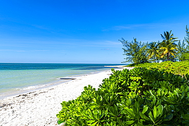 White sand beach, Water Cay, Grand Cayman, Cayman Islands, Caribbean, Central America