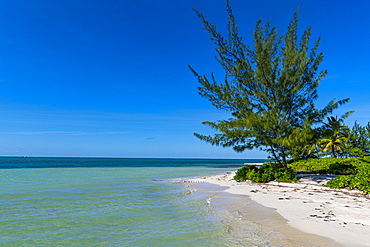 White sand beach, Water Cay, Grand Cayman, Cayman Islands, Caribbean, Central America