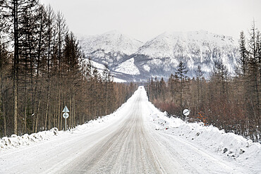 Road of Bones in the Suntar-Khayata mountain Range, Sakha Republic (Yakutia), Russia, Eurasia