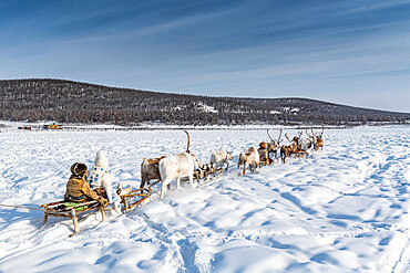 Friendly Evenc family on sledges pulled from reindeers, Oymyakon, Sakha Republic (Yakutia), Russia, Eurasia