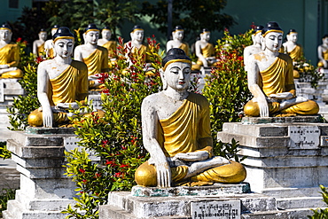 Buddhas lining up, Aung Zay Yan Aung Pagoda, Myitkyina, Kachin state, Myanmar (Burma), Asia