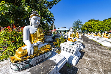 Buddhas lining up, Aung Zay Yan Aung Pagoda, Myitkyina, Kachin state, Myanmar (Burma), Asia