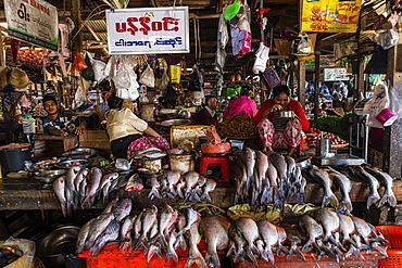 Fish market, Myitkyina, Kachin state, Myanmar (Burma), Asia