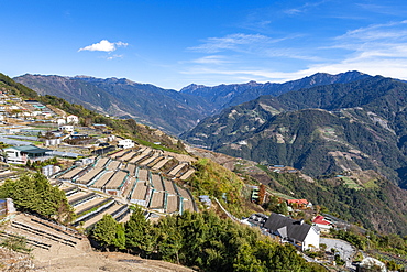 Tea plantations in the picturesque highlands of Nantou County, Taiwan, Asia