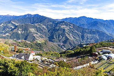 Tea plantations in the picturesque highlands of Nantou County, Taiwan, Asia